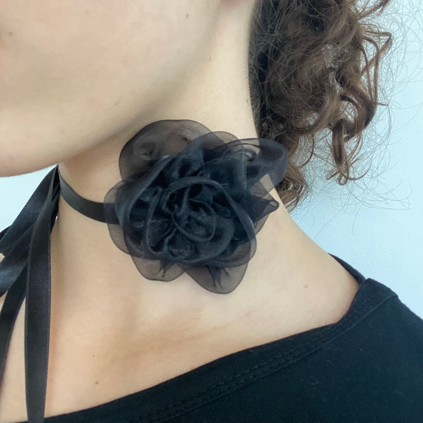 camélia noir